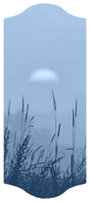 DARAY C 334 BL Harvest Sunrise Blue